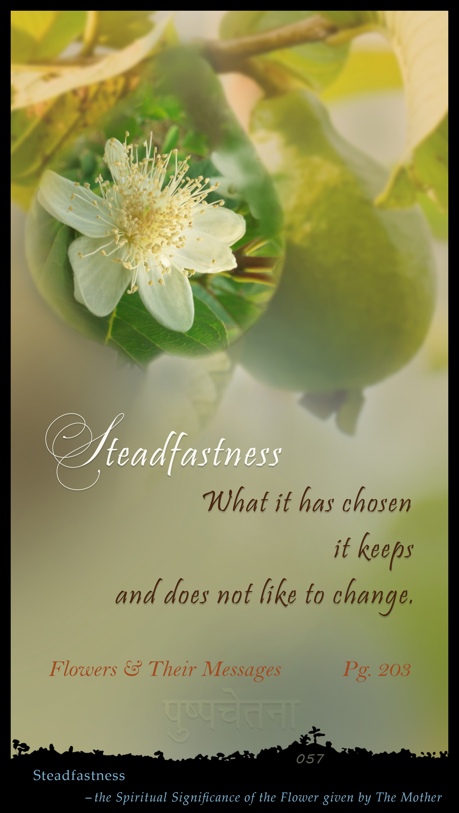 Steadfastness